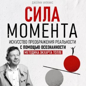 Сила момента. Аудиокнига (Джейми Уилкинс)