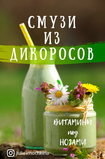 Смузи из дикоросов: витамины под ногами (Юлия Леночкина)