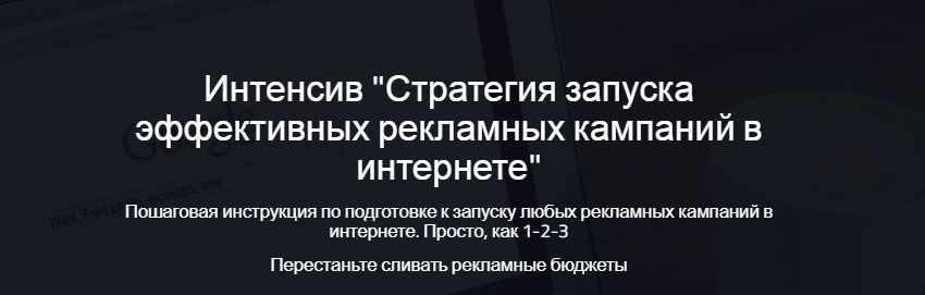 Стратегия запуска эффективных рекламных кампаний в интернете (Надежда Раюшкина)