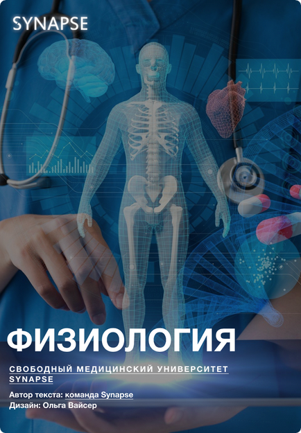 Обложка курса «[Synapse] Учебник по физиологии»