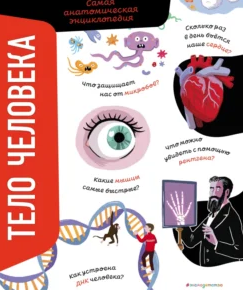 Обложка курса «Тело человека. Самая анатомическая энциклопедия (Анна Романо)»