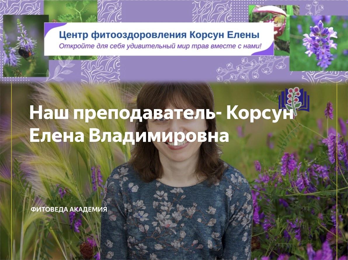 Травы для иммунитета (Елена Корсун)