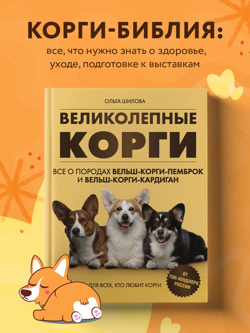 Обложка курса «Великолепные корги. Все о породах вельш-корги-пемброк и вельш-корги-кардиган (Ольга Шилова)»