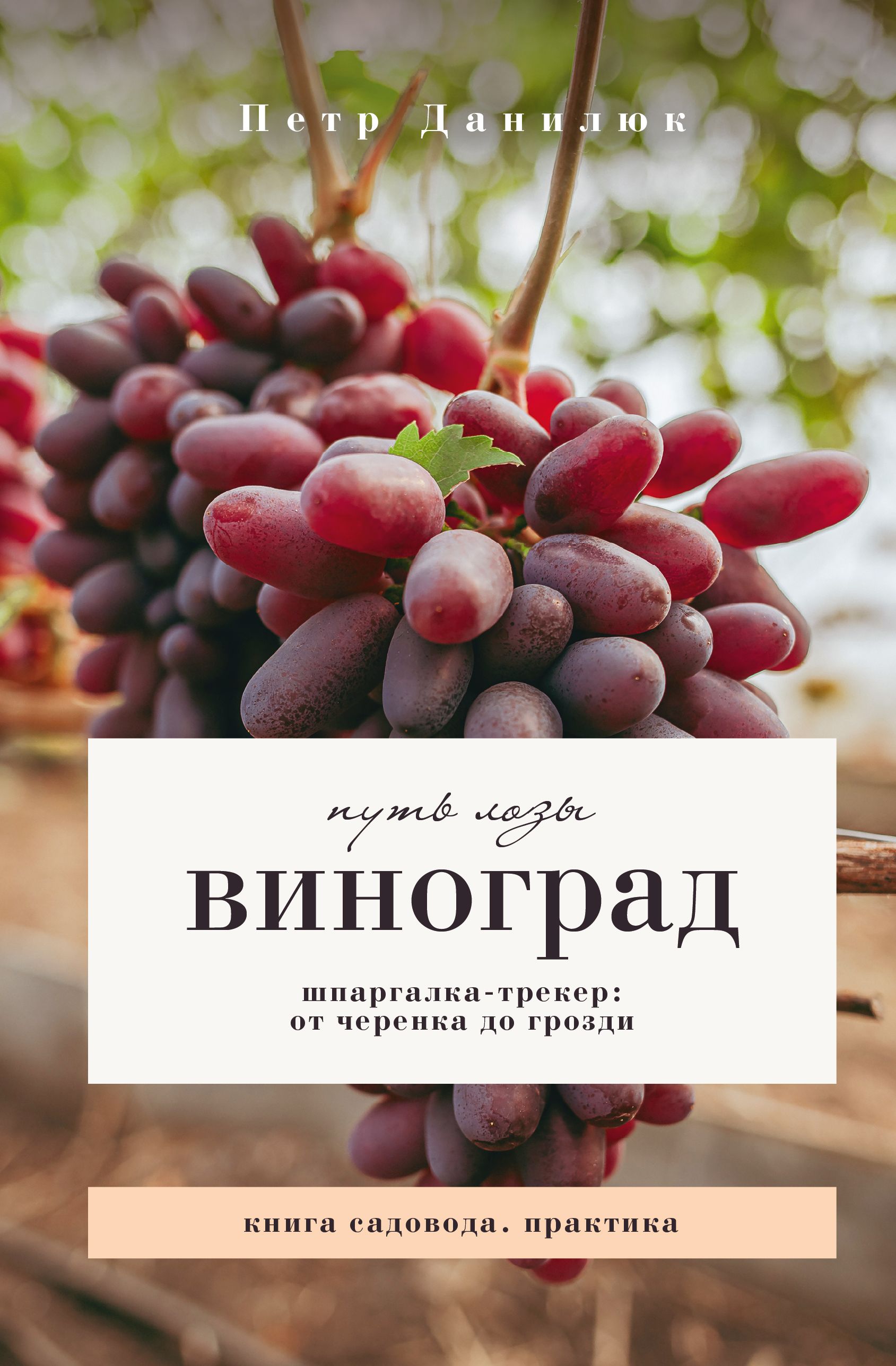Обложка курса «Виноград. Путь лозы. Шпаргалка-трекер: от черенка до грозди (Петр Данилюк, Вячеслав Мурыгин)»