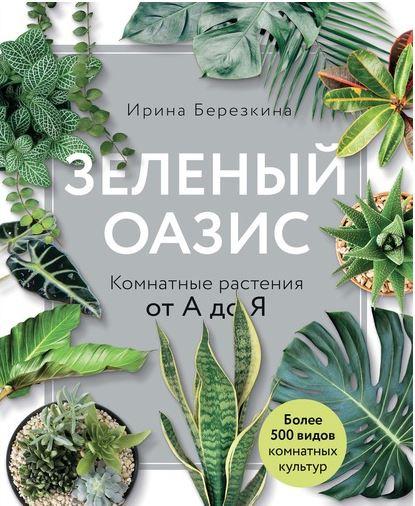 Обложка курса «Зеленый оазис. Комнатные растения от А до Я (Ирина Берёзкина)»