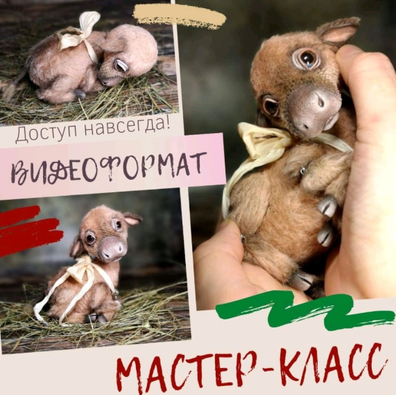 Обложка курса «Подвижный Теленок (Наталья Шумейко)»