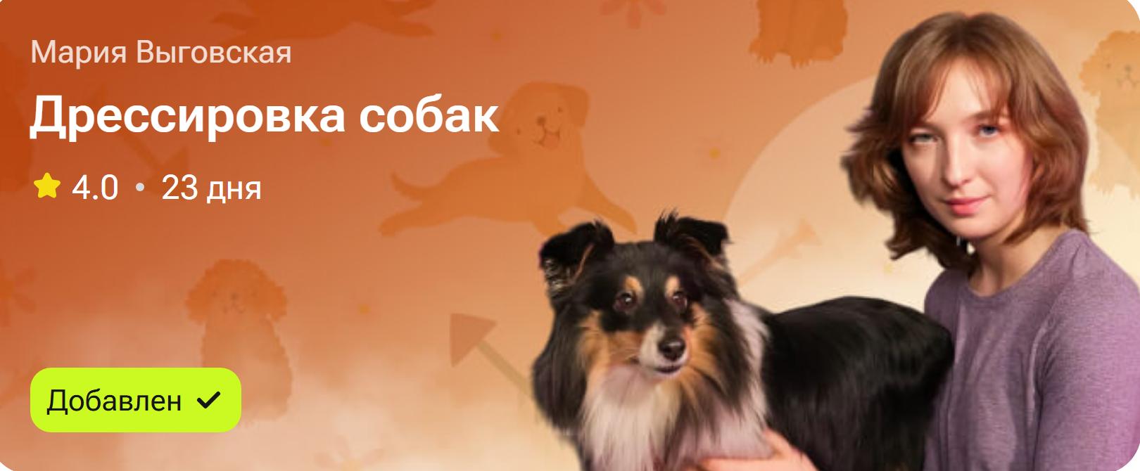 Обложка курса «Дрессировка собак (Мария Выговская)»