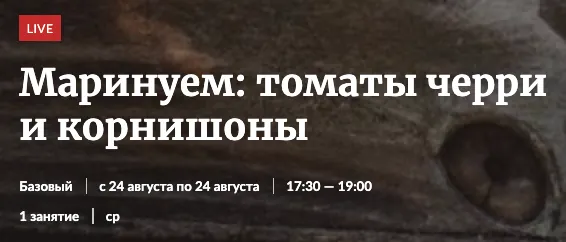 Скачать курс «[Novikov School] Маринуем: томаты черри и корнишоны» — слив курса